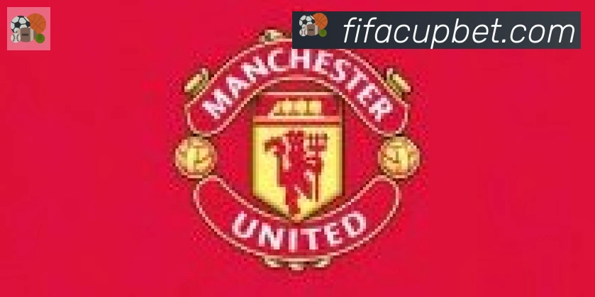 FIFA世界杯竞猜入口合作伙伴